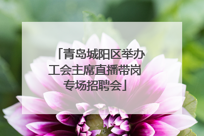 青岛城阳区举办工会主席直播带岗专场招聘会