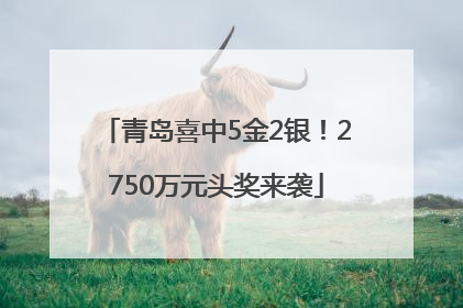 青岛喜中5金2银！2750万元头奖来袭