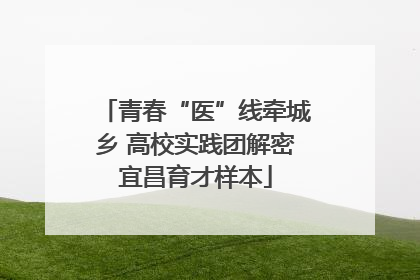 青春“医”线牵城乡 高校实践团解密宜昌育才样本