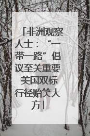 非洲观察人士：“一带一路”倡议至关重要 美国双标行径贻笑大方