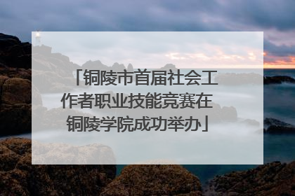 铜陵市首届社会工作者职业技能竞赛在铜陵学院成功举办
