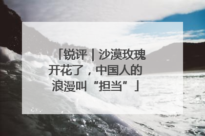 锐评｜沙漠玫瑰开花了，中国人的浪漫叫“担当”