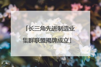 长三角先进制造业集群联盟揭牌成立