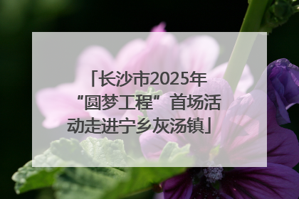 长沙市2025年“圆梦工程”首场活动走进宁乡灰汤镇
