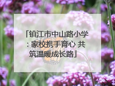 镇江市中山路小学：家校携手育心 共筑温暖成长路