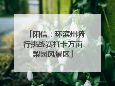 阳信：环滨州骑行挑战赛打卡万亩梨园风景区