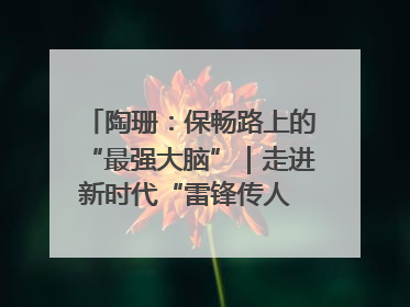 陶珊：保畅路上的“最强大脑”｜走进新时代“雷锋传人 长沙榜样”