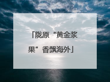 陇原“黄金浆果”香飘海外