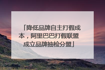 降低品牌自主打假成本，阿里巴巴打假联盟成立品牌抽检分盟