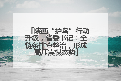 陕西“护鸟”行动升级，省委书记：全链条排查整治，形成高压震慑态势