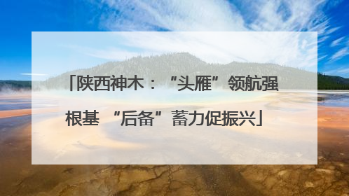 陕西神木：“头雁”领航强根基 “后备”蓄力促振兴