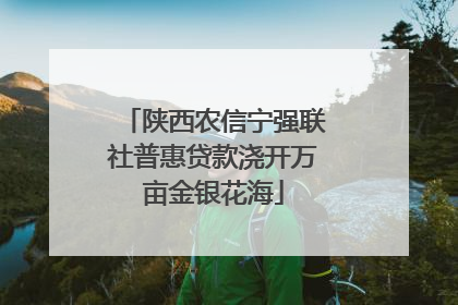 陕西农信宁强联社普惠贷款浇开万亩金银花海