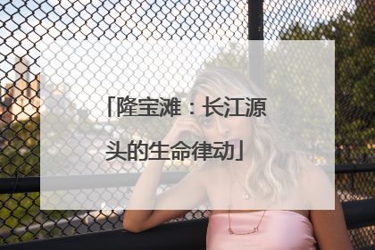 隆宝滩：长江源头的生命律动