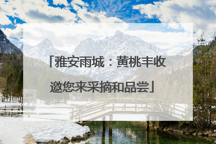 雅安雨城：黄桃丰收 邀您来采摘和品尝