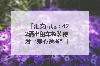 雅安雨城：422辆出租车整装待发“爱心送考”