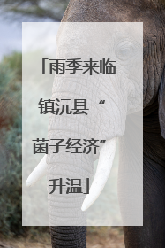 雨季来临 镇沅县“菌子经济”升温
