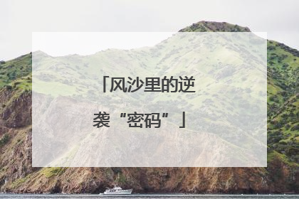 风沙里的逆袭“密码”