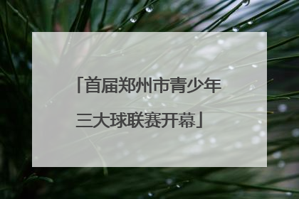 首届郑州市青少年三大球联赛开幕