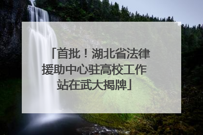 首批！湖北省法律援助中心驻高校工作站在武大揭牌