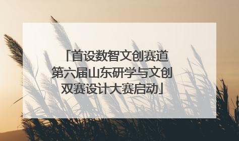 首设数智文创赛道 第六届山东研学与文创双赛设计大赛启动