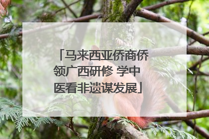 马来西亚侨商侨领广西研修 学中医看非遗谋发展