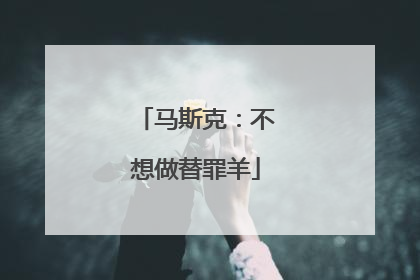 马斯克：不想做替罪羊