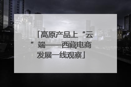 高原产品上“云”端——西藏电商发展一线观察
