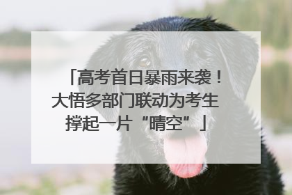高考首日暴雨来袭！大悟多部门联动为考生撑起一片“晴空”