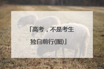 高考，不是考生独自前行(图)