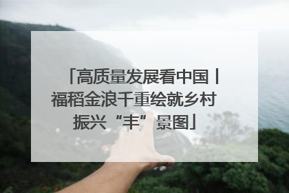 高质量发展看中国丨福稻金浪千重绘就乡村振兴“丰”景图