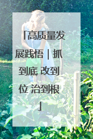 高质量发展践悟｜抓到底 改到位 治到根