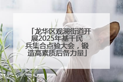 龙华区观澜街道开展2025年基干民兵集合点验大会，锻造高素质后备力量