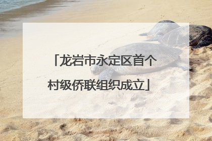 龙岩市永定区首个村级侨联组织成立