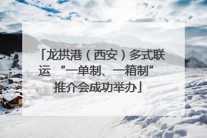 龙拱港（西安）多式联运 “一单制、一箱制” 推介会成功举办