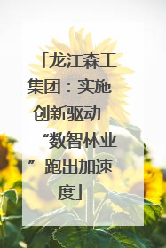龙江森工集团：实施创新驱动 “数智林业”跑出加速度