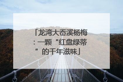 龙湾大岙溪杨梅：一颗“红盘绿蒂”的千年滋味