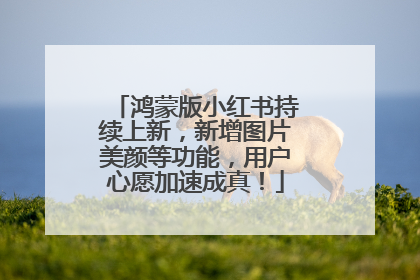 鸿蒙版小红书持续上新，新增图片美颜等功能，用户心愿加速成真！