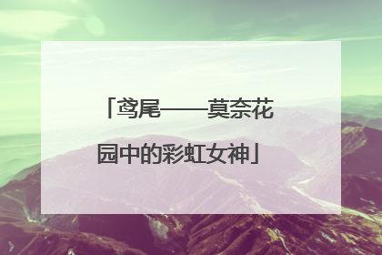 鸢尾——莫奈花园中的彩虹女神