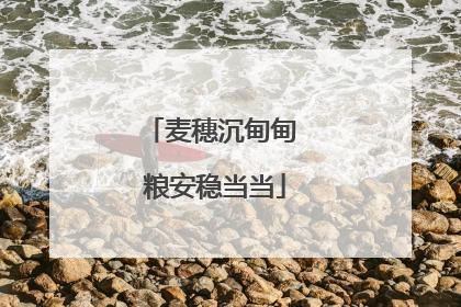麦穗沉甸甸 粮安稳当当