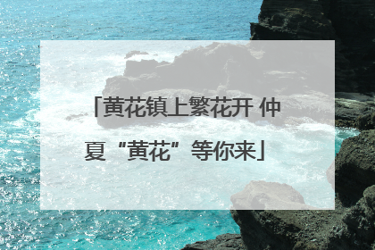 黄花镇上繁花开 仲夏“黄花”等你来