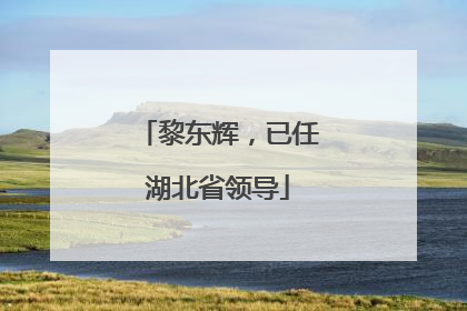 黎东辉，已任湖北省领导