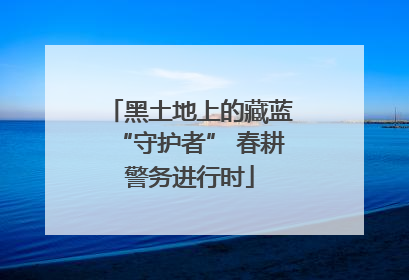 黑土地上的藏蓝“守护者” 春耕警务进行时