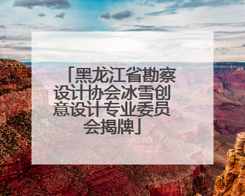 黑龙江省勘察设计协会冰雪创意设计专业委员会揭牌