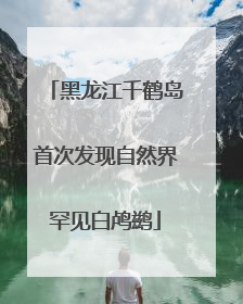 黑龙江千鹤岛首次发现自然界罕见白鸬鹚