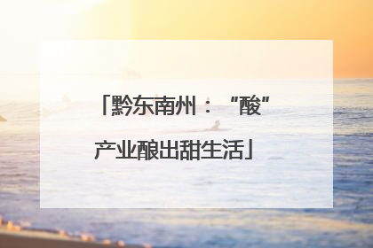 黔东南州：“酸”产业酿出甜生活