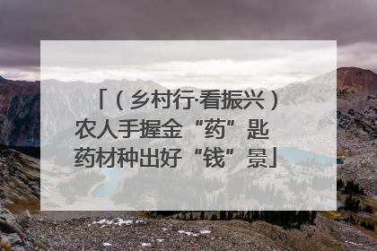 （乡村行·看振兴）农人手握金“药”匙 药材种出好“钱”景