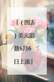 （图表）美元指数6月6日上涨