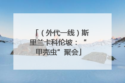 （外代一线）斯里兰卡科伦坡：“甲壳虫”聚会
