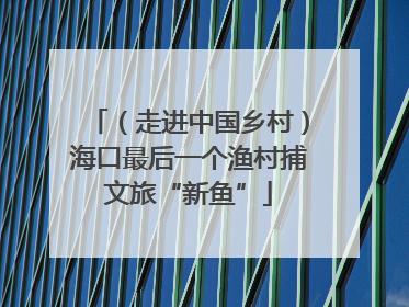 （走进中国乡村）海口最后一个渔村捕文旅“新鱼”