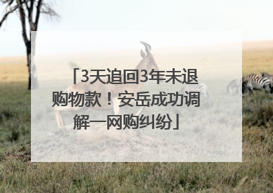 3天追回3年未退购物款！安岳成功调解一网购纠纷